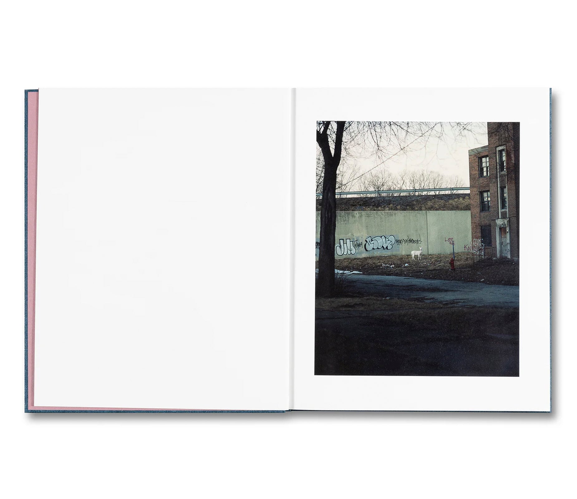 KING, QUEEN, KNAVE by Gregory Halpern
