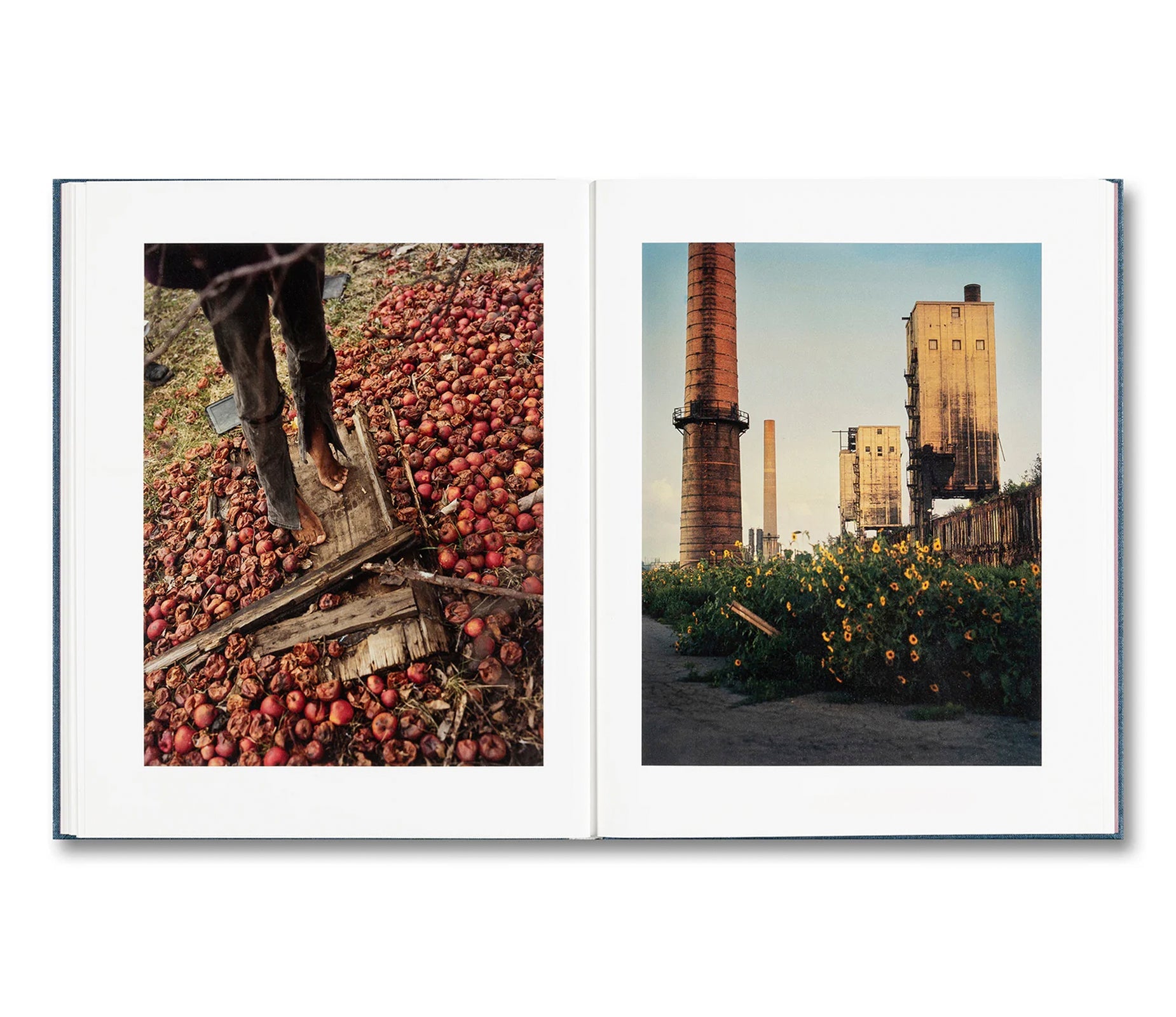 KING, QUEEN, KNAVE by Gregory Halpern