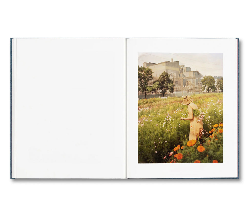 KING, QUEEN, KNAVE by Gregory Halpern [SIGNED]