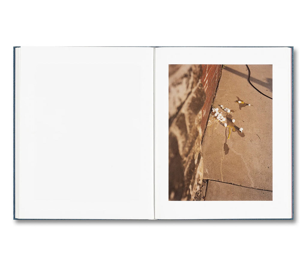 KING, QUEEN, KNAVE by Gregory Halpern