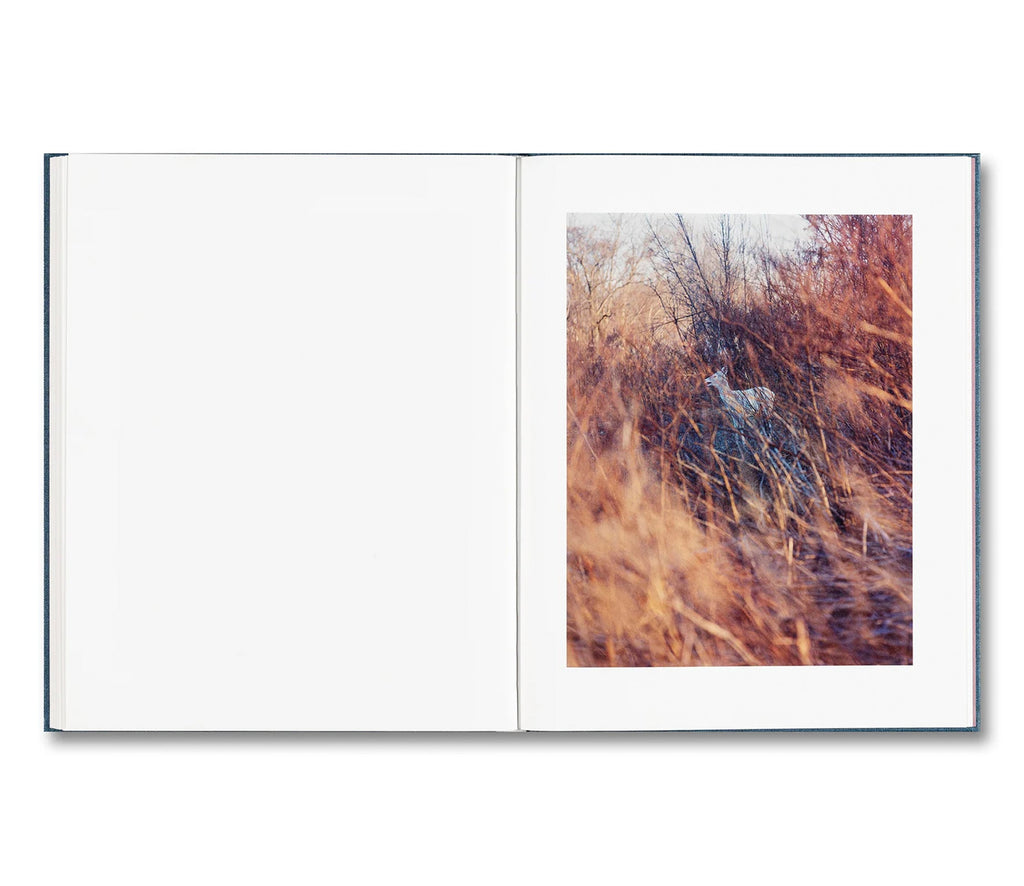 KING, QUEEN, KNAVE by Gregory Halpern [SIGNED]