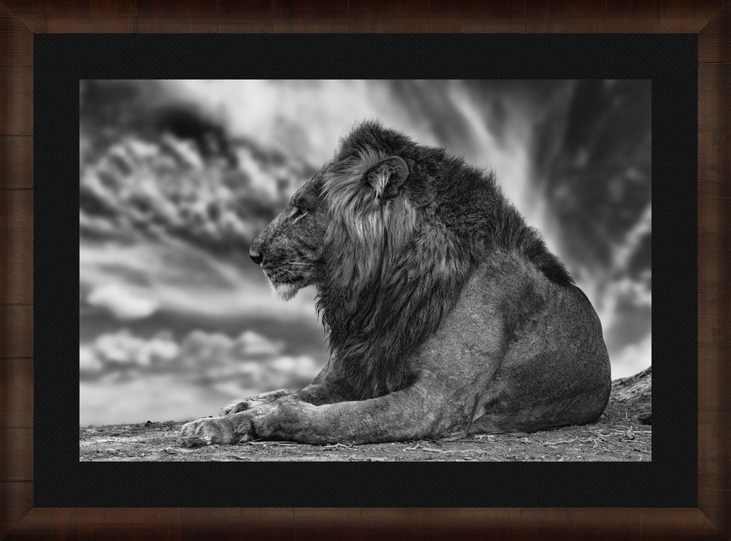 African Aura