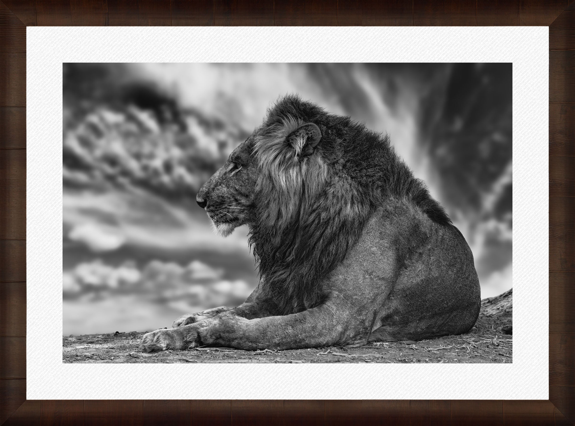 African Aura