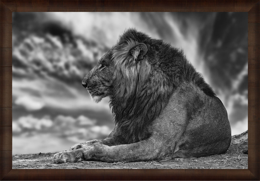 African Aura