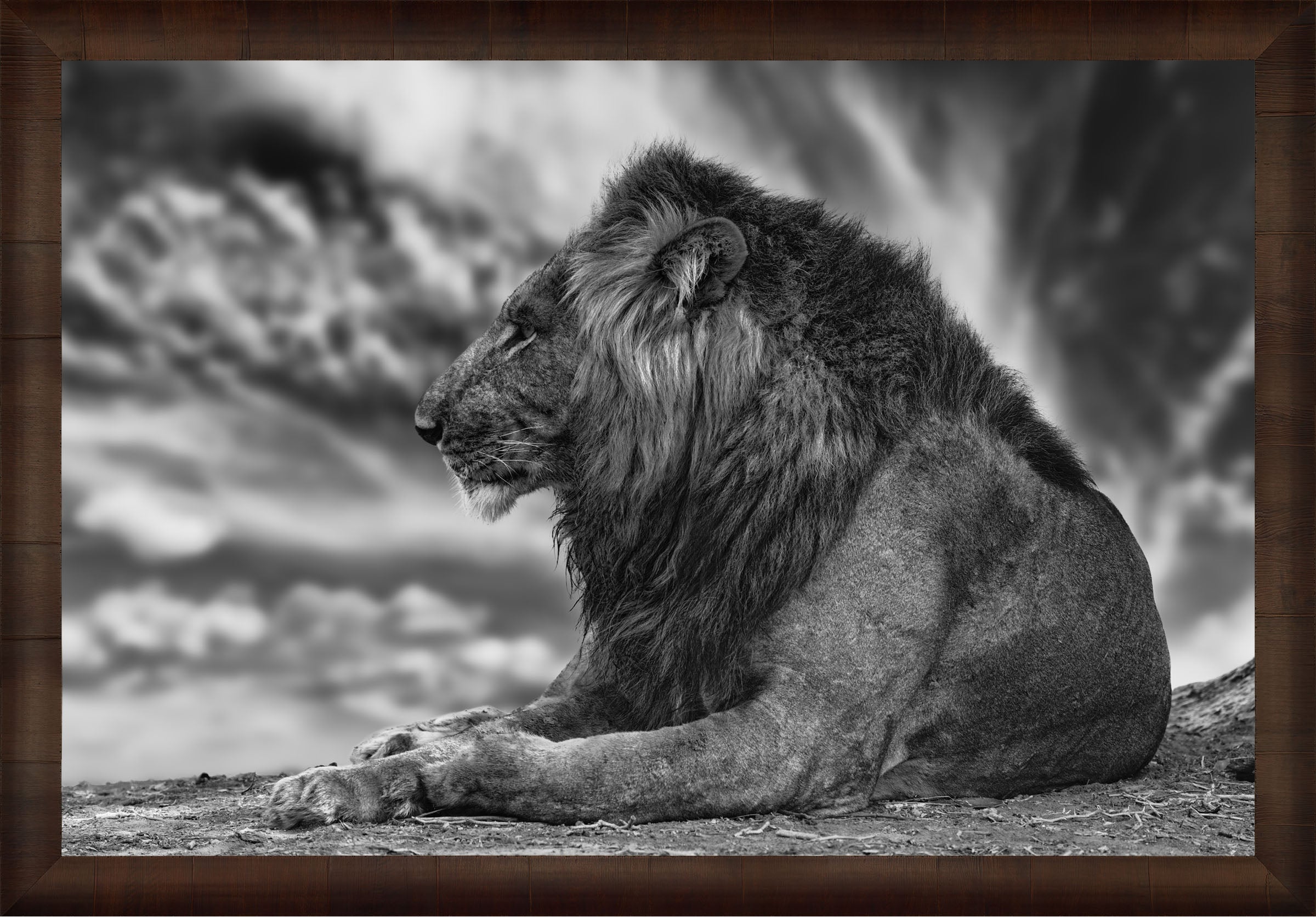 African Aura