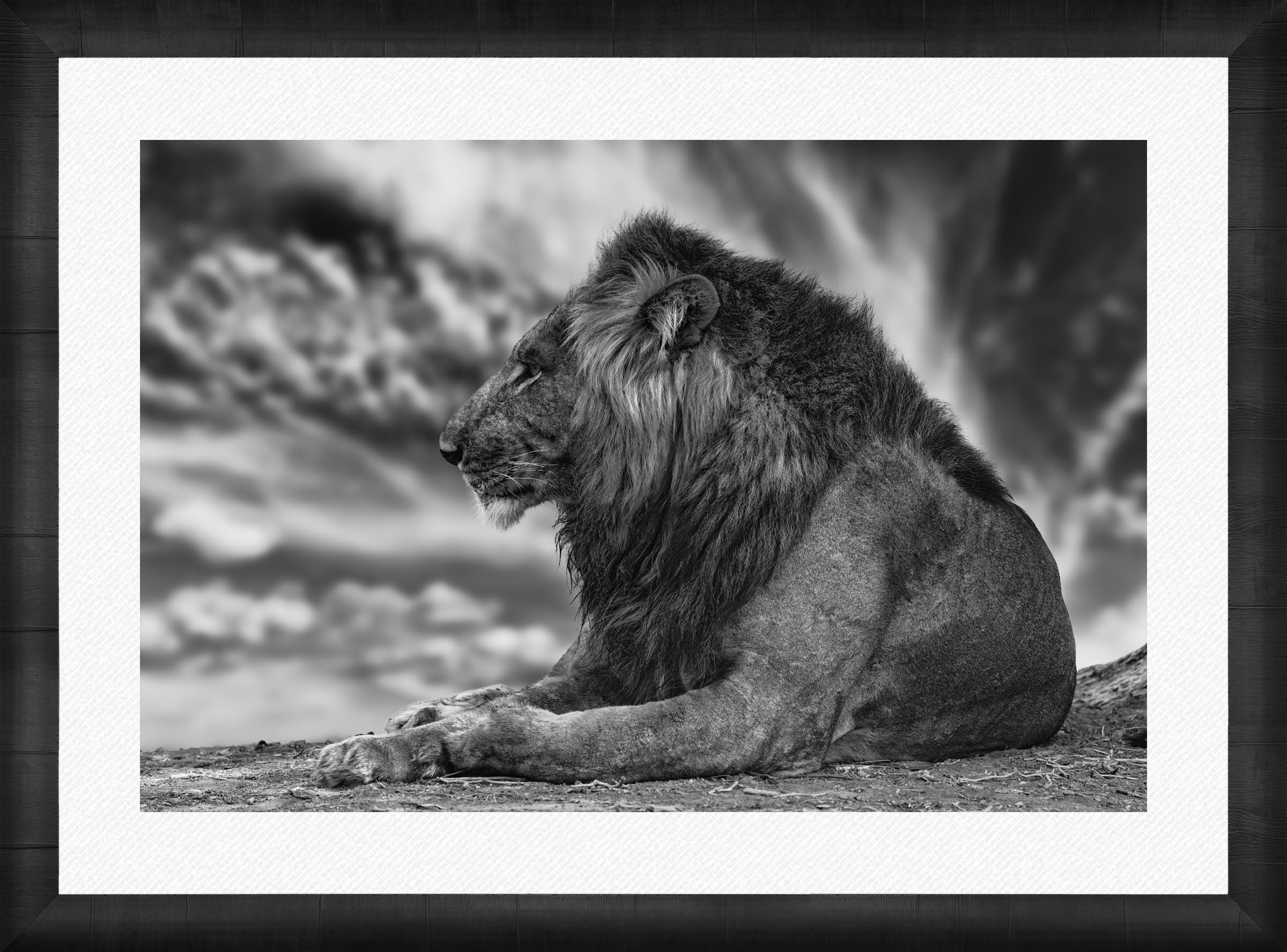 African Aura