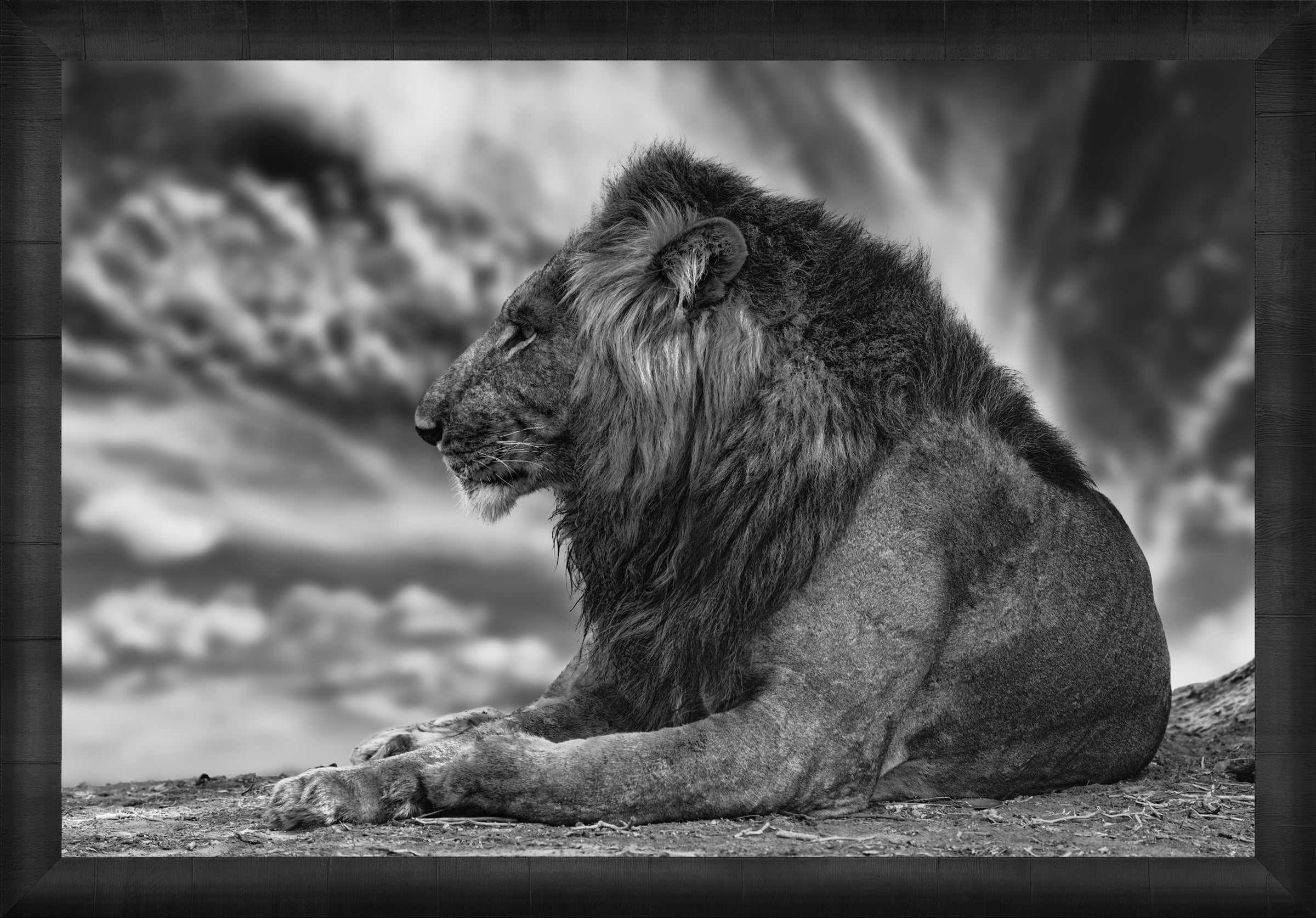 African Aura