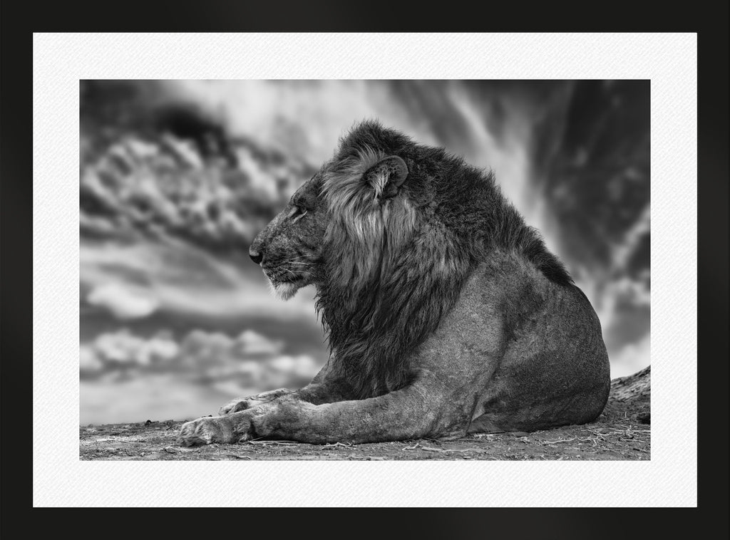African Aura