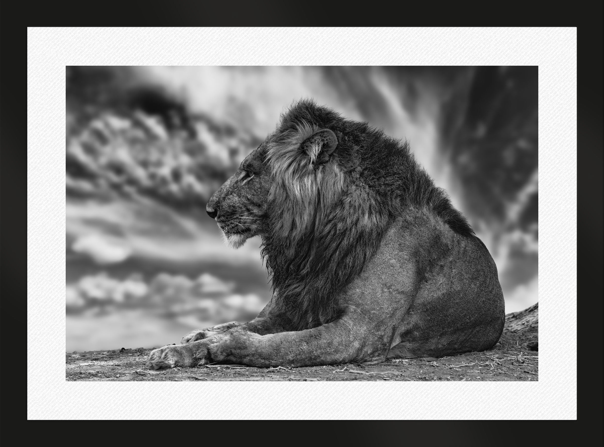 African Aura
