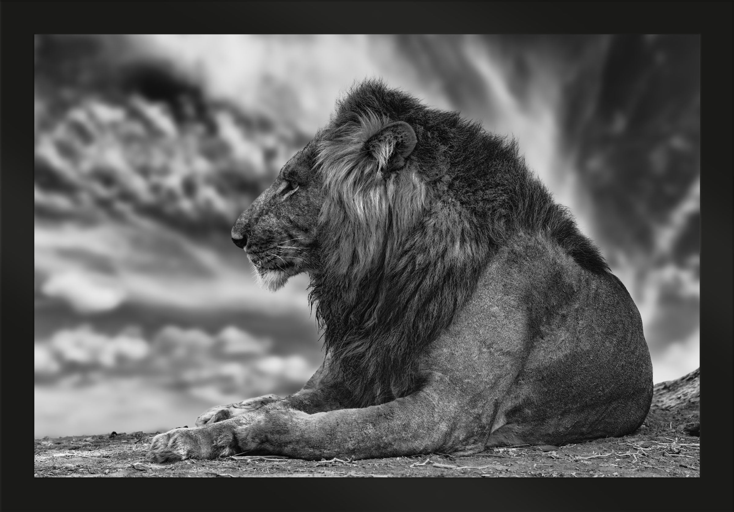 African Aura