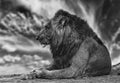 African Aura