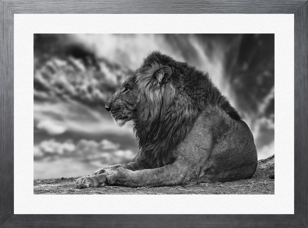 African Aura