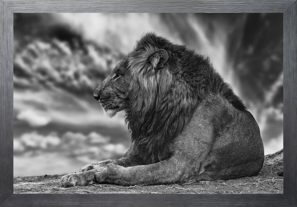 African Aura