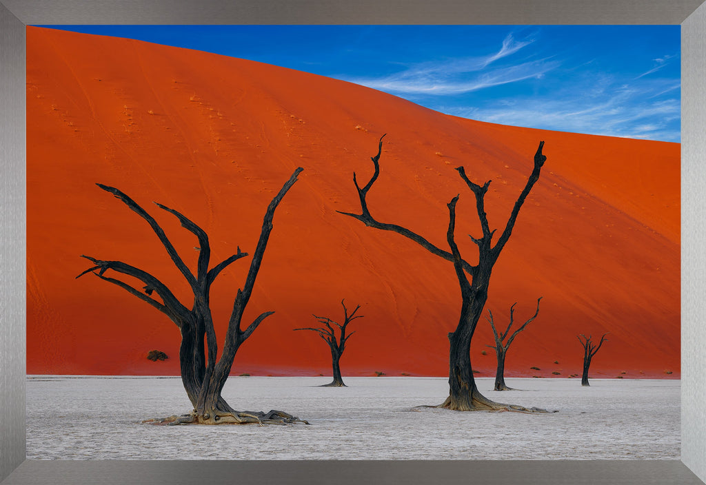 African Dreams