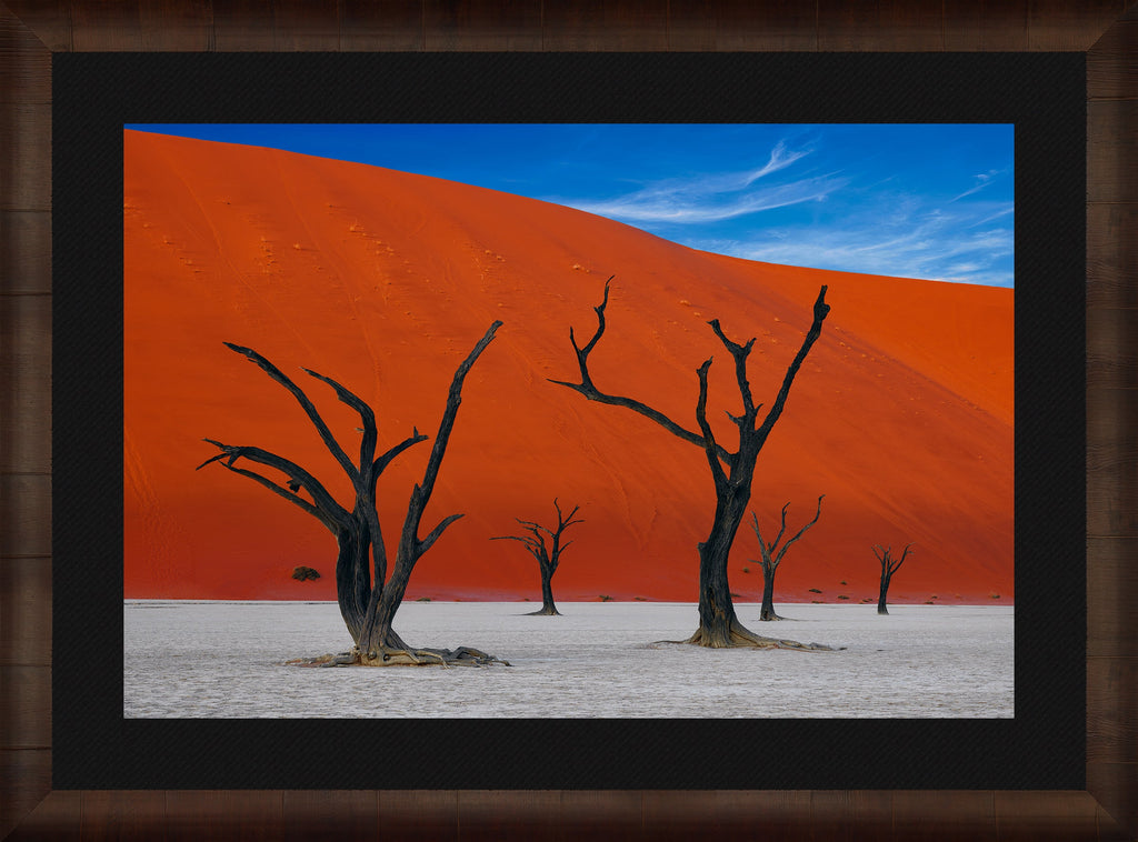 African Dreams