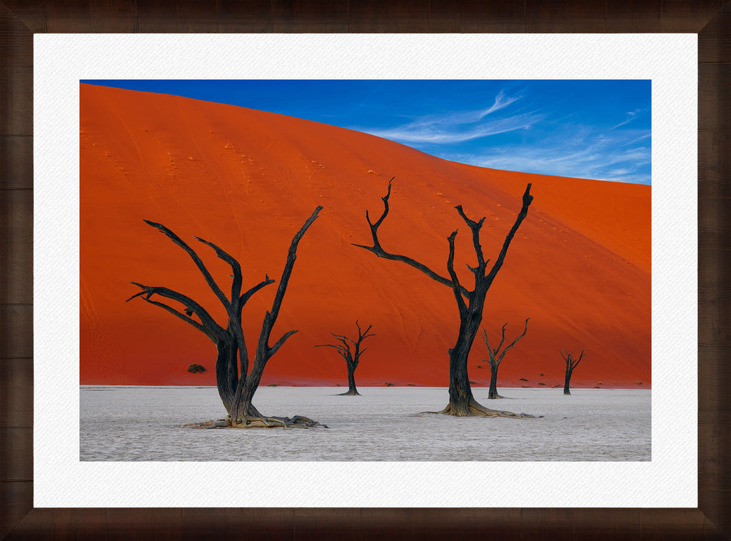 African Dreams