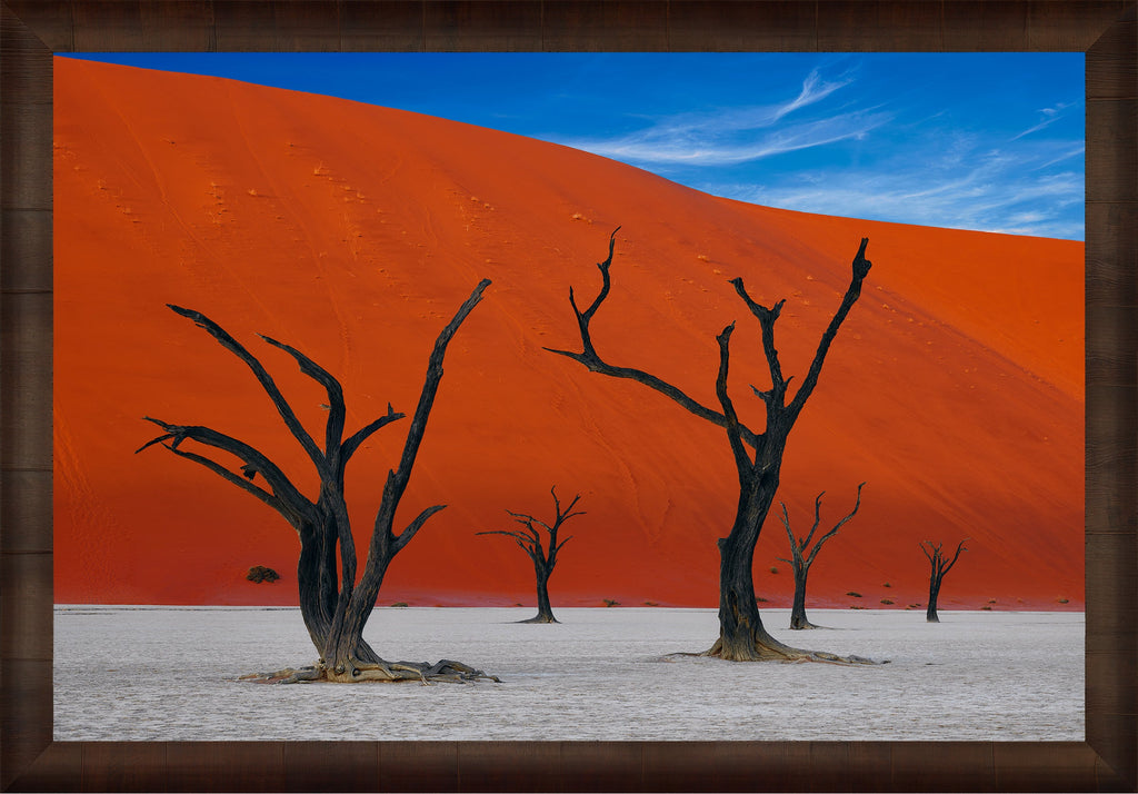 African Dreams