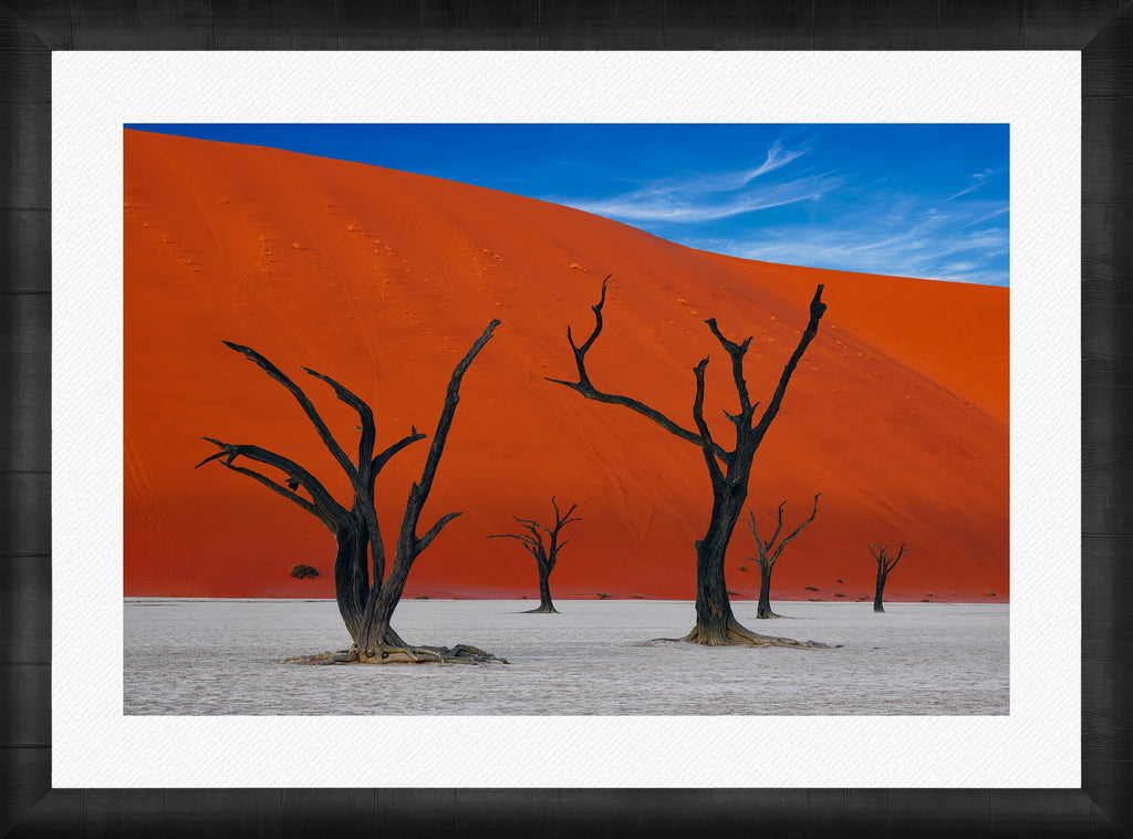 African Dreams