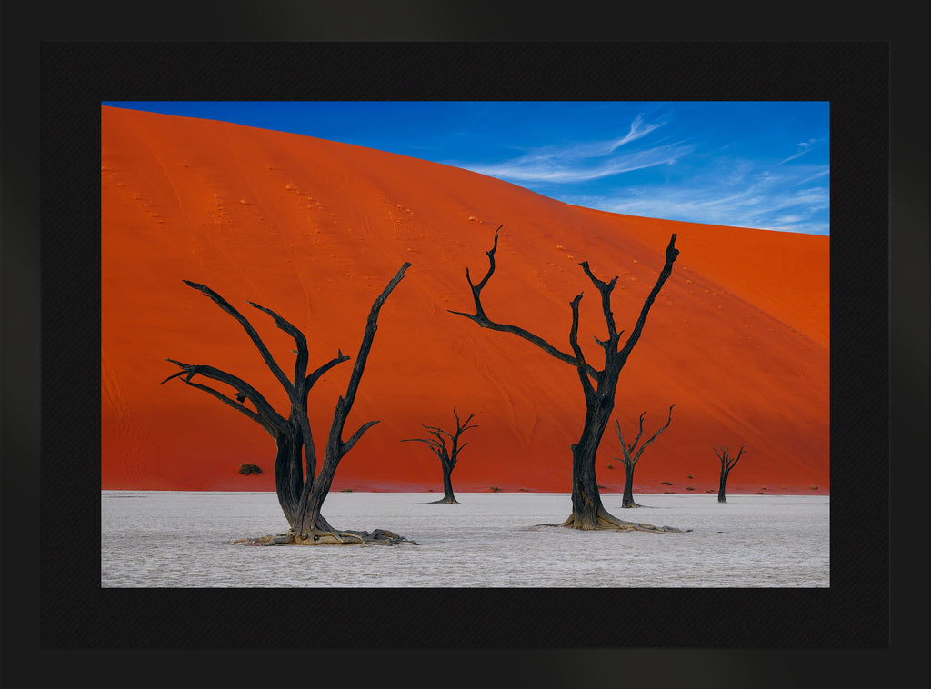 African Dreams