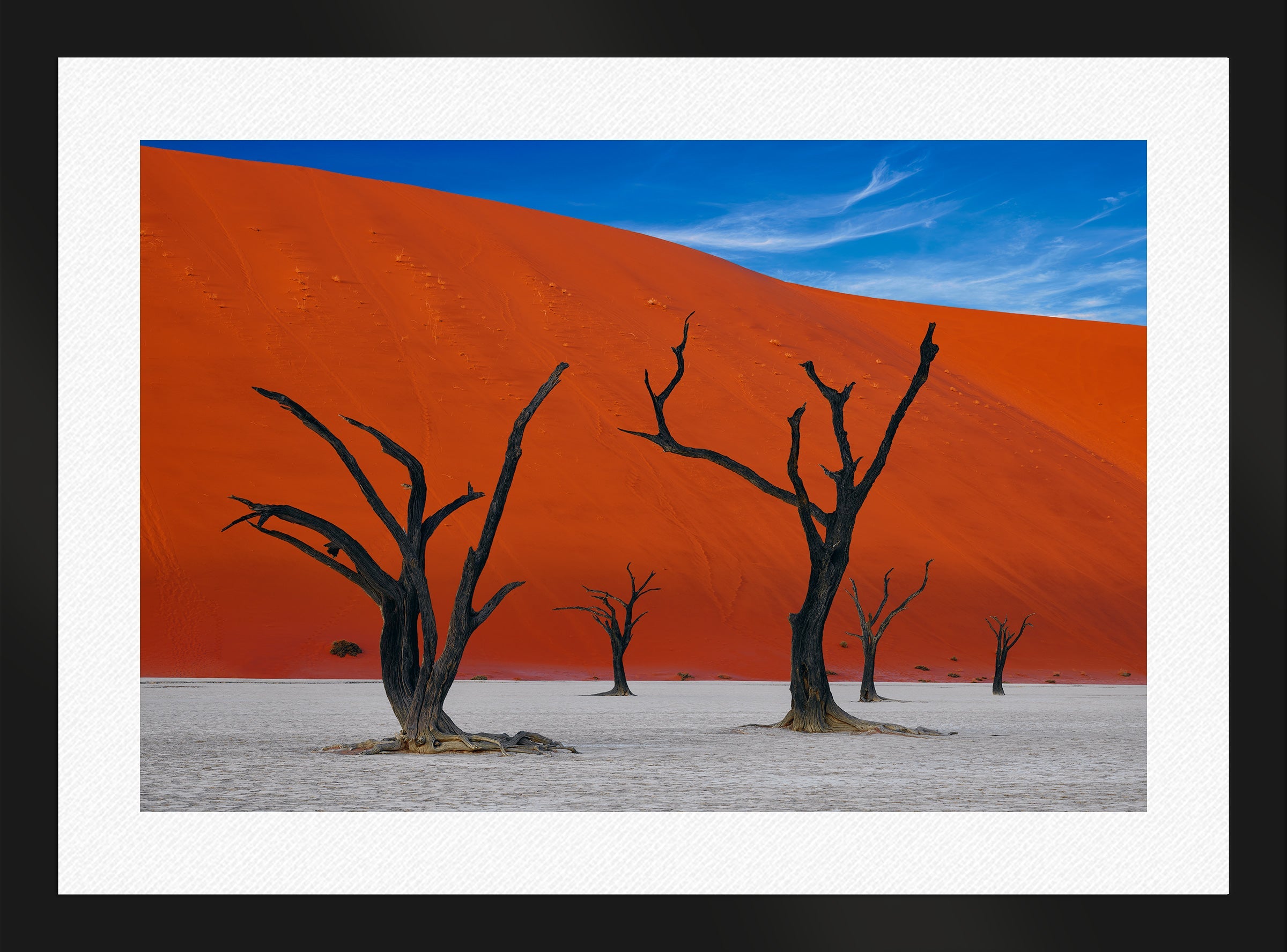 African Dreams