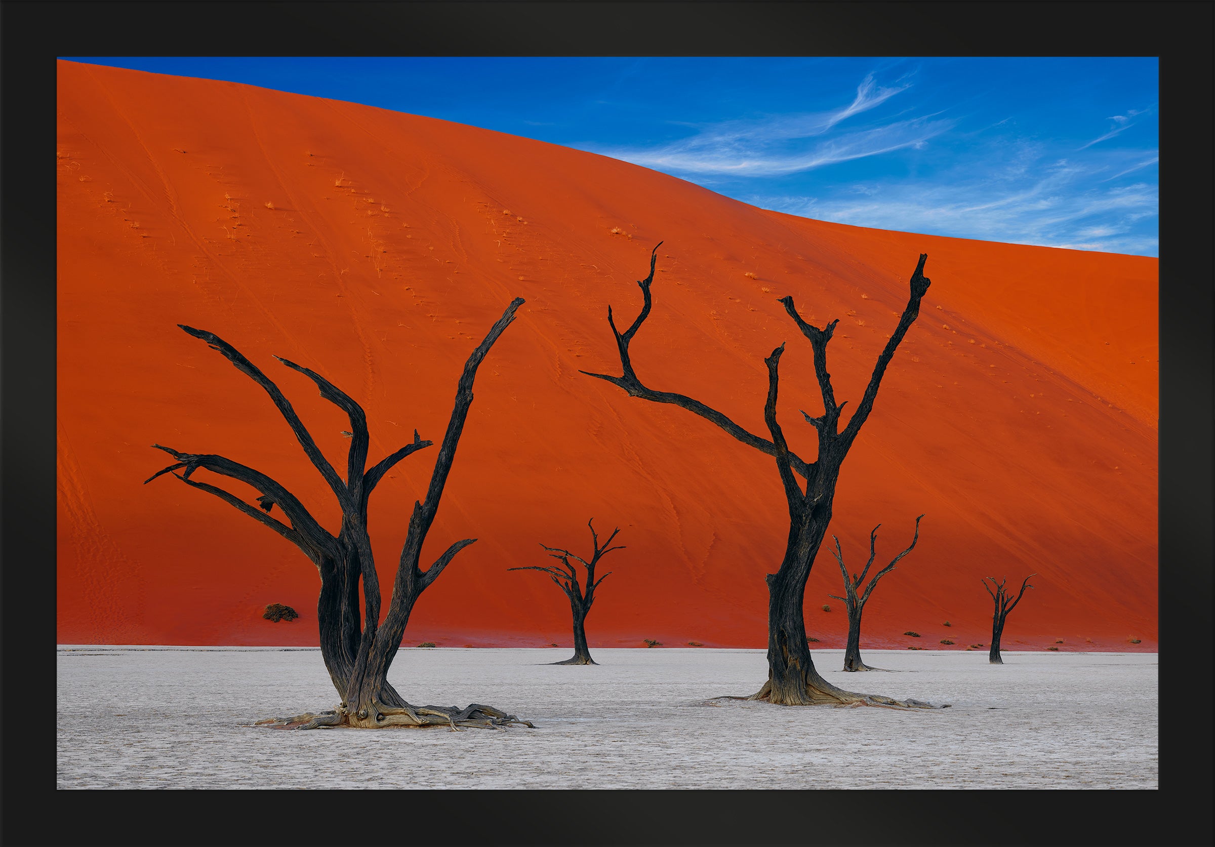 African Dreams