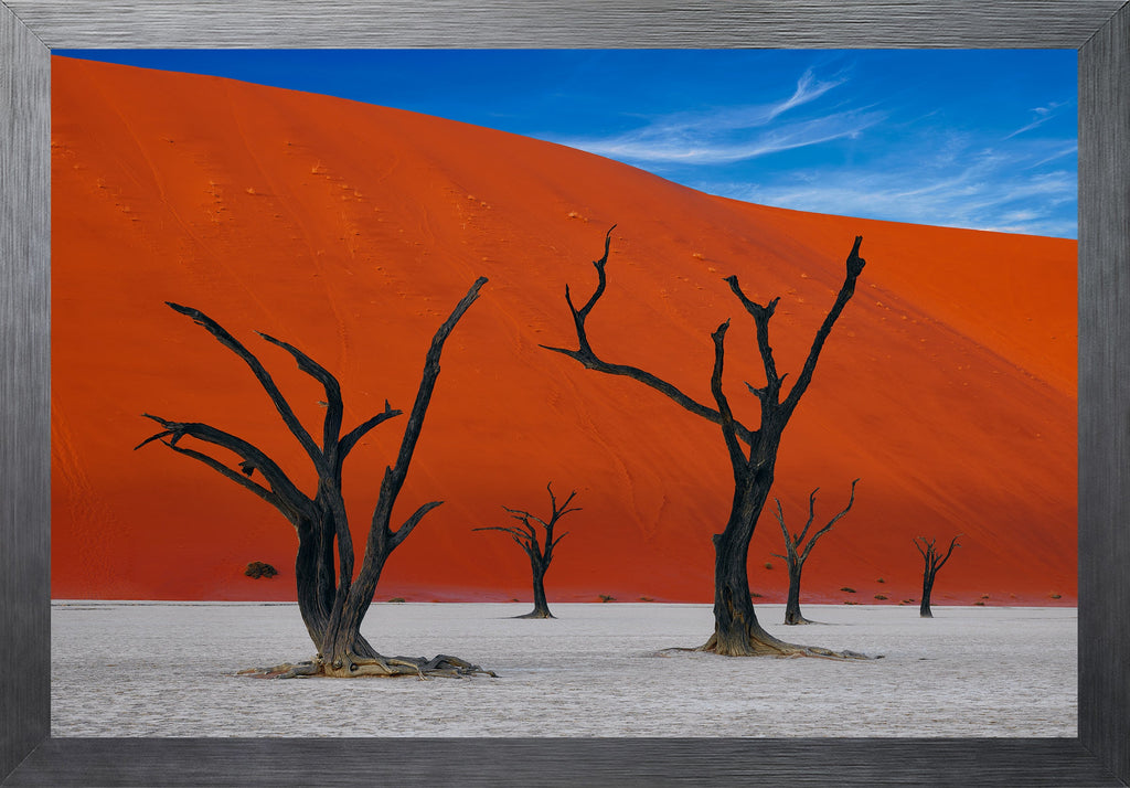 African Dreams