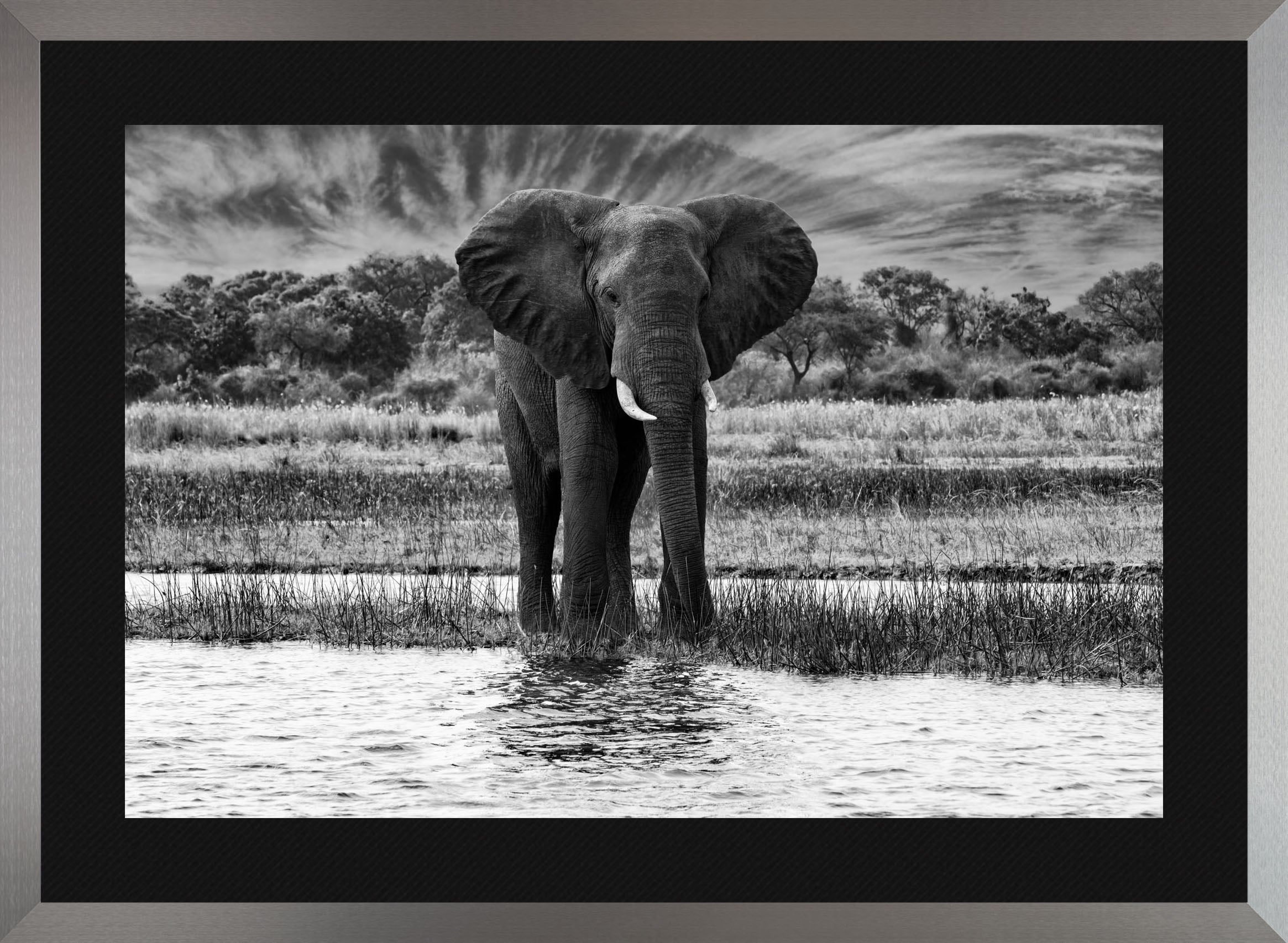 African Oasis