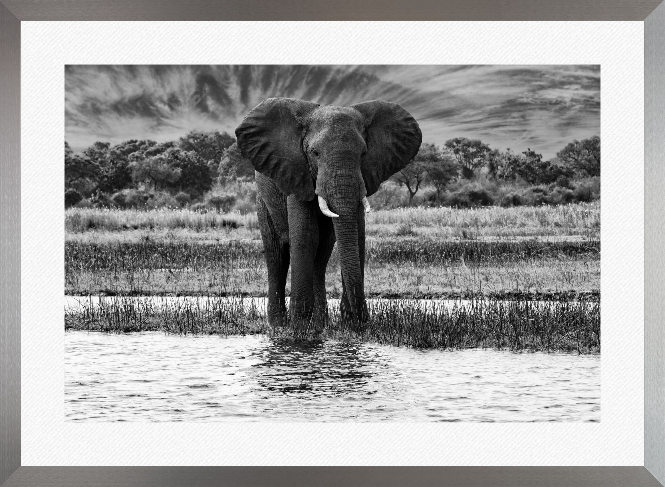 African Oasis