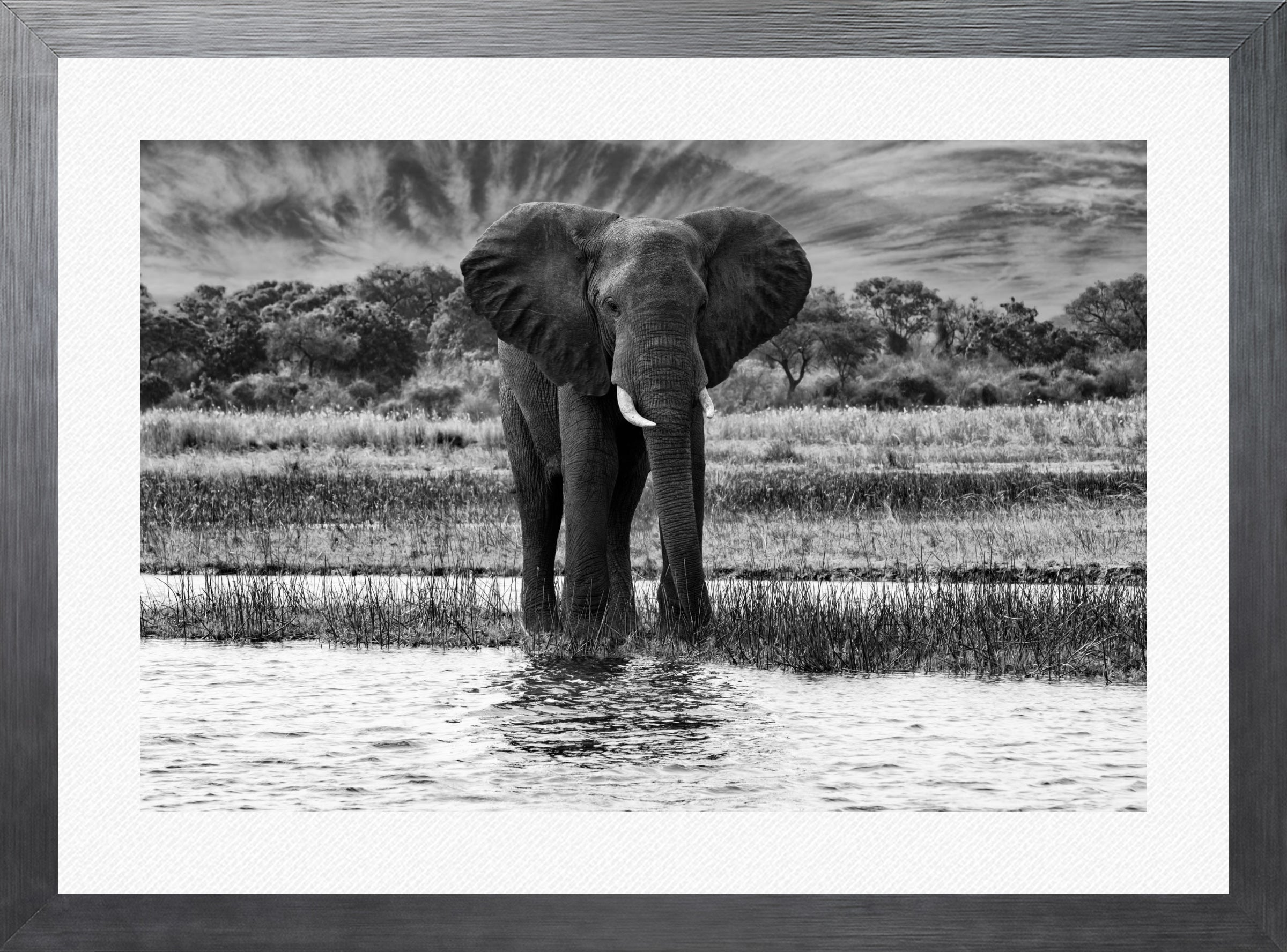 African Oasis