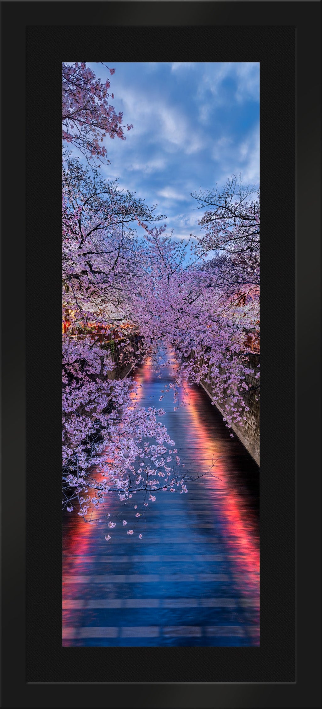 Twilight Bloom