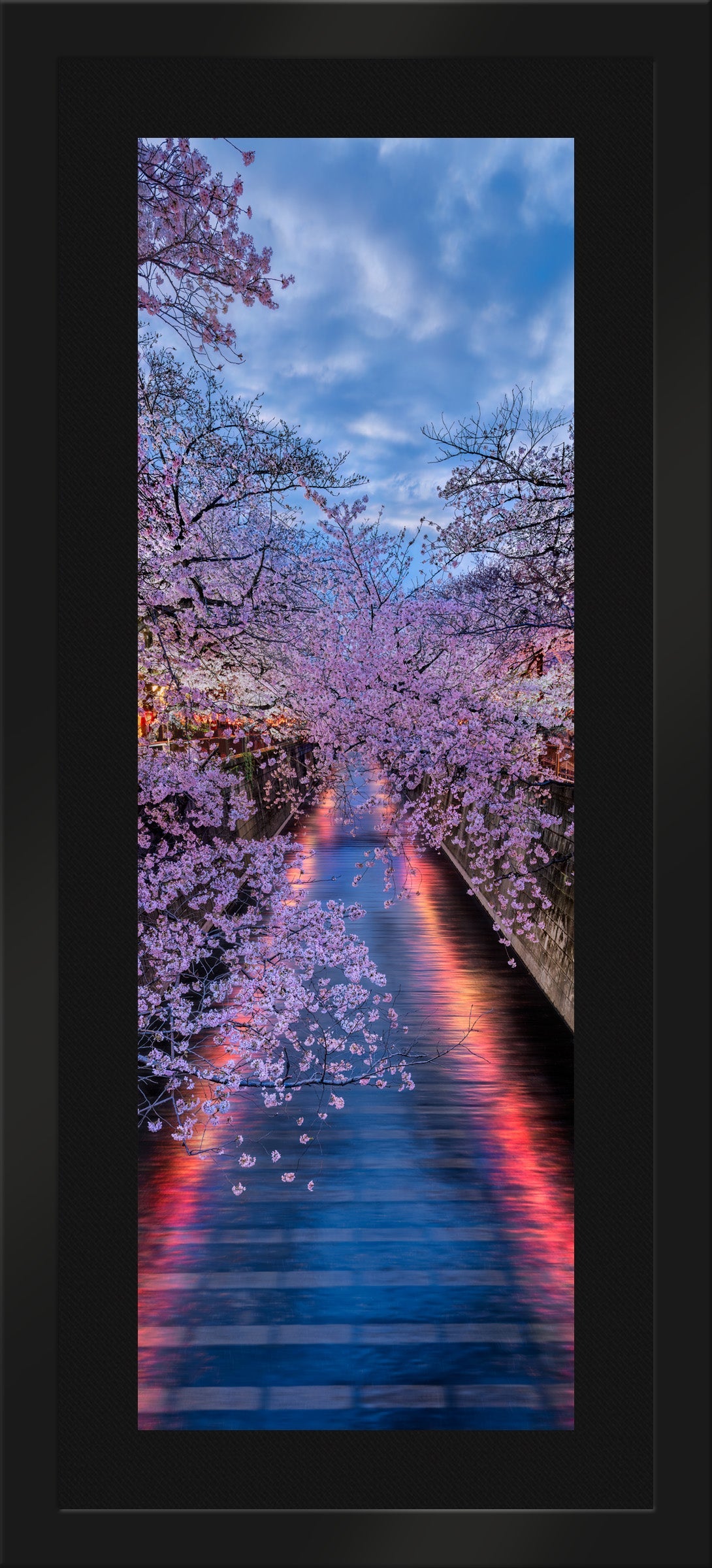Twilight Bloom