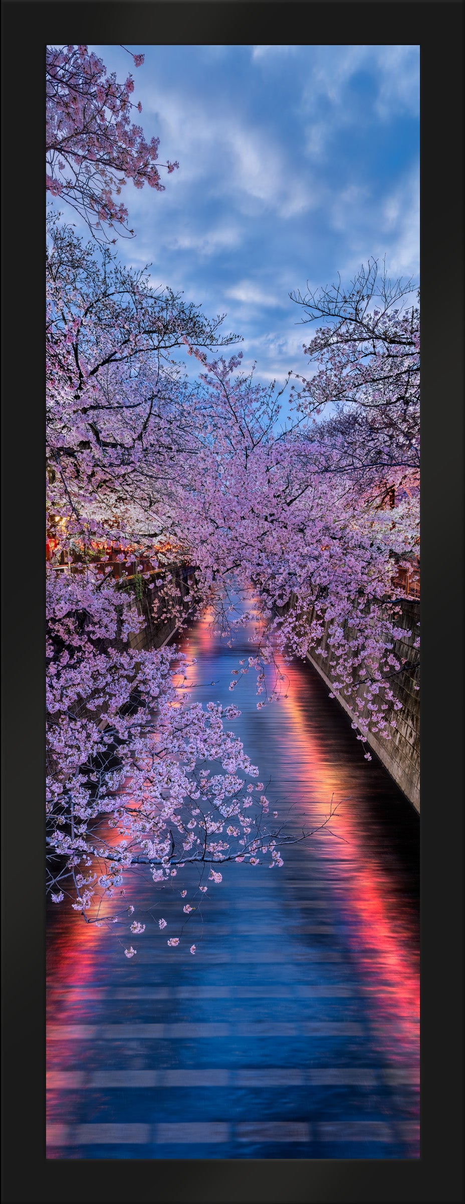 Twilight Bloom
