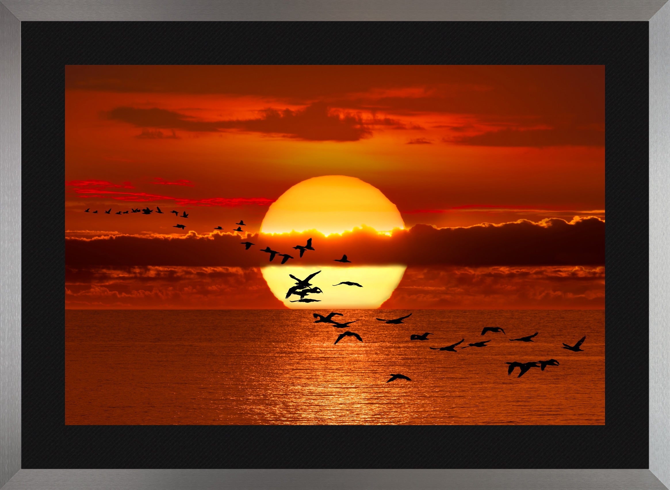 Twilight Flight