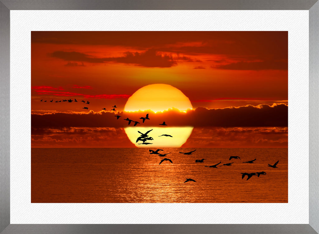 Twilight Flight