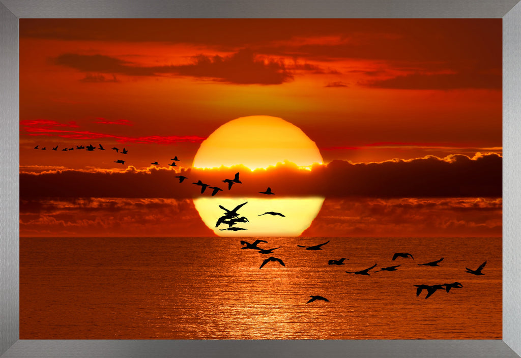 Twilight Flight