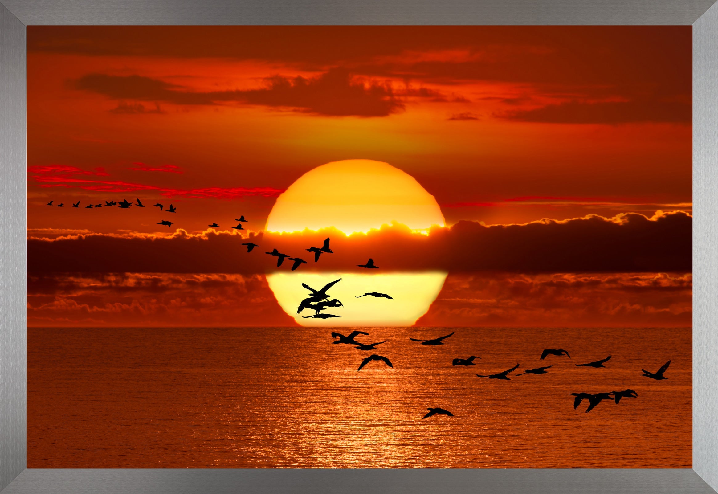 Twilight Flight