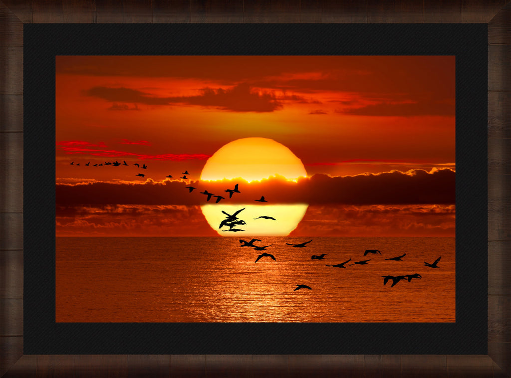 Twilight Flight