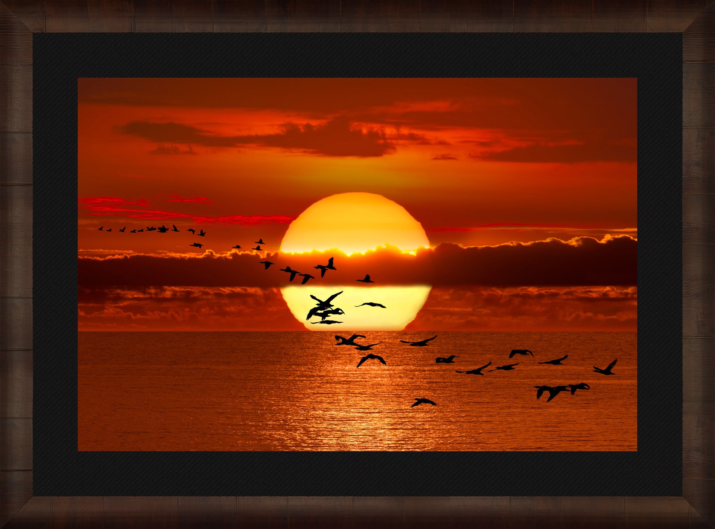 Twilight Flight