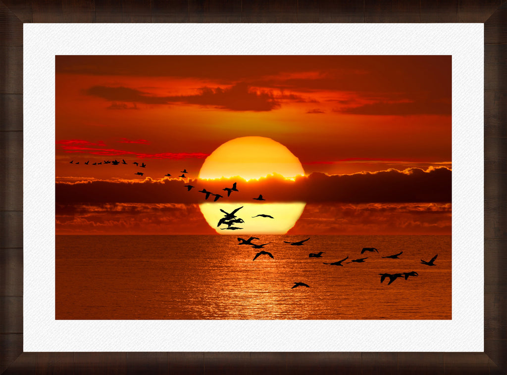 Twilight Flight