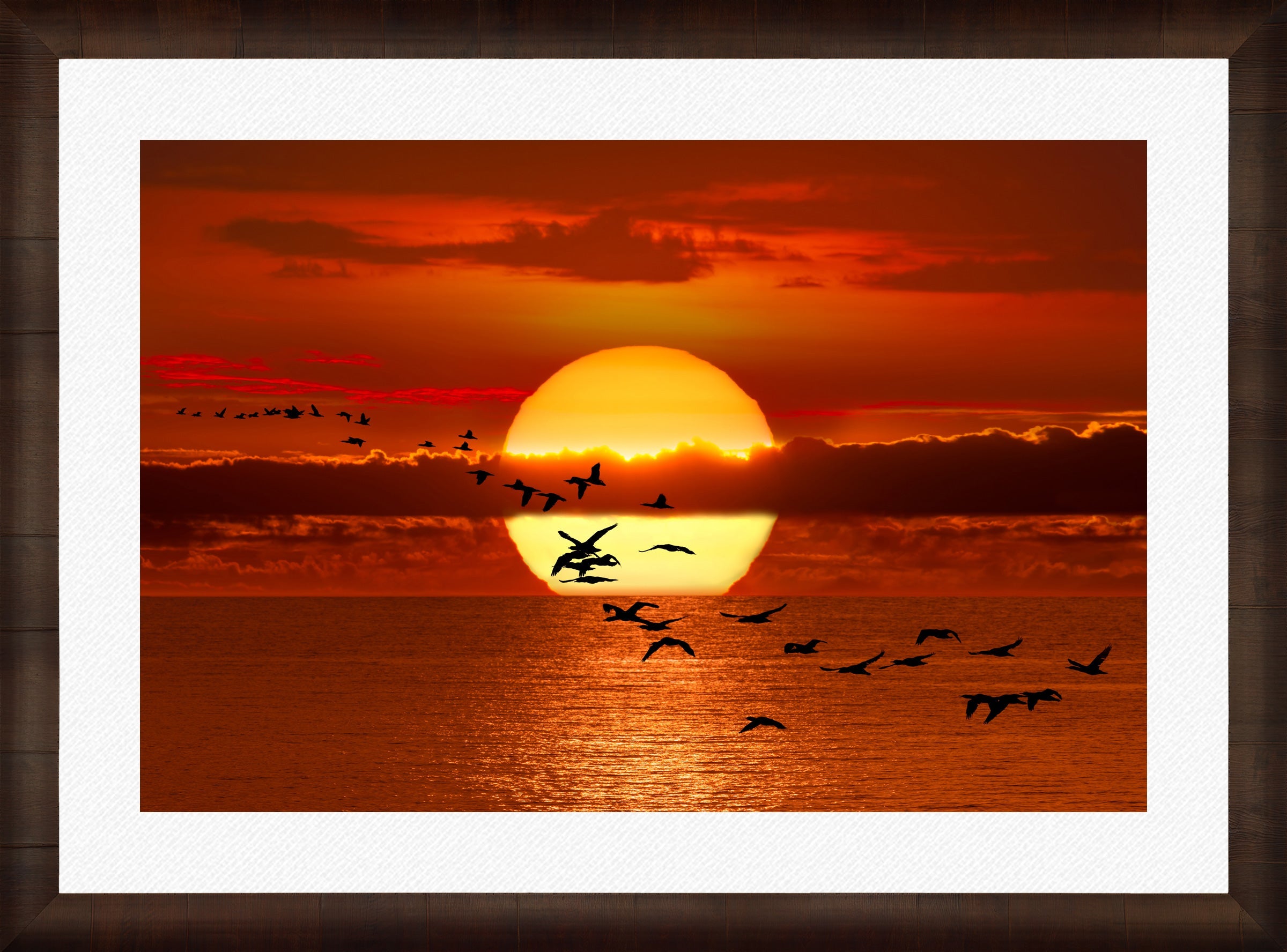 Twilight Flight