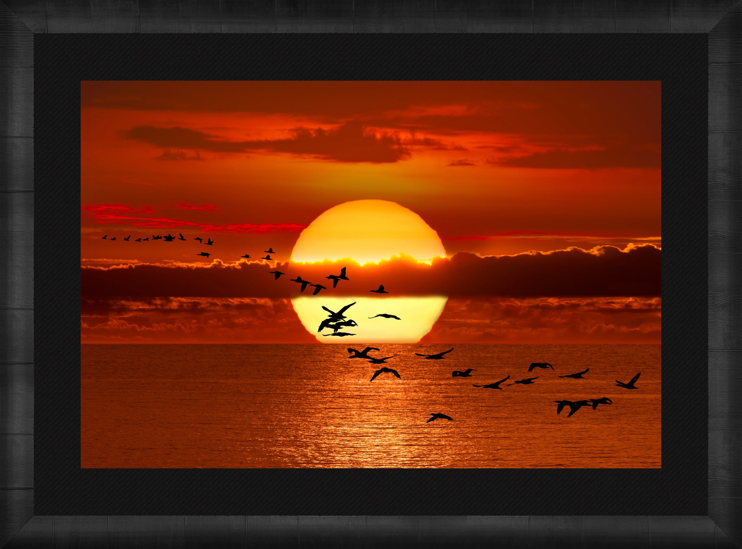 Twilight Flight