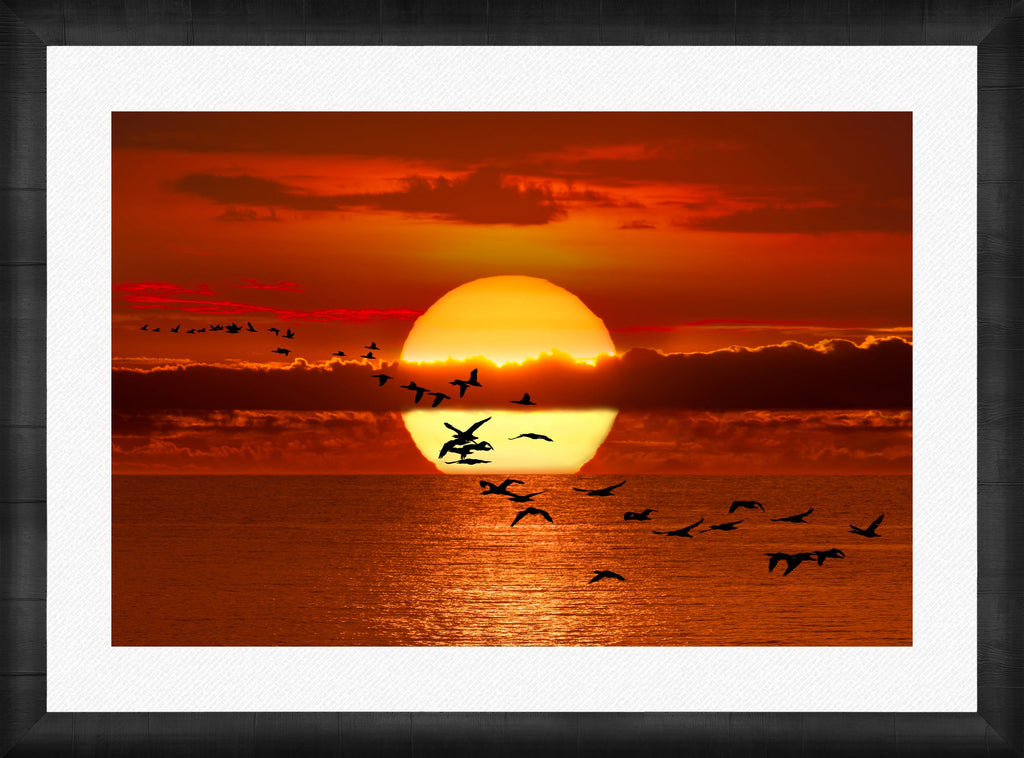 Twilight Flight