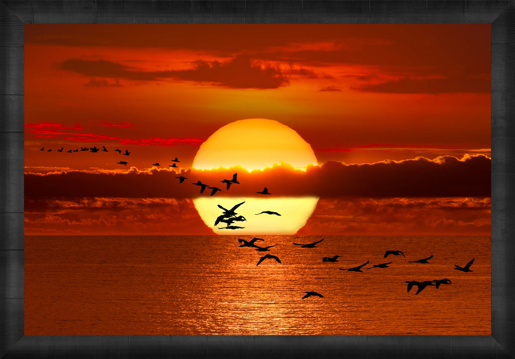 Twilight Flight