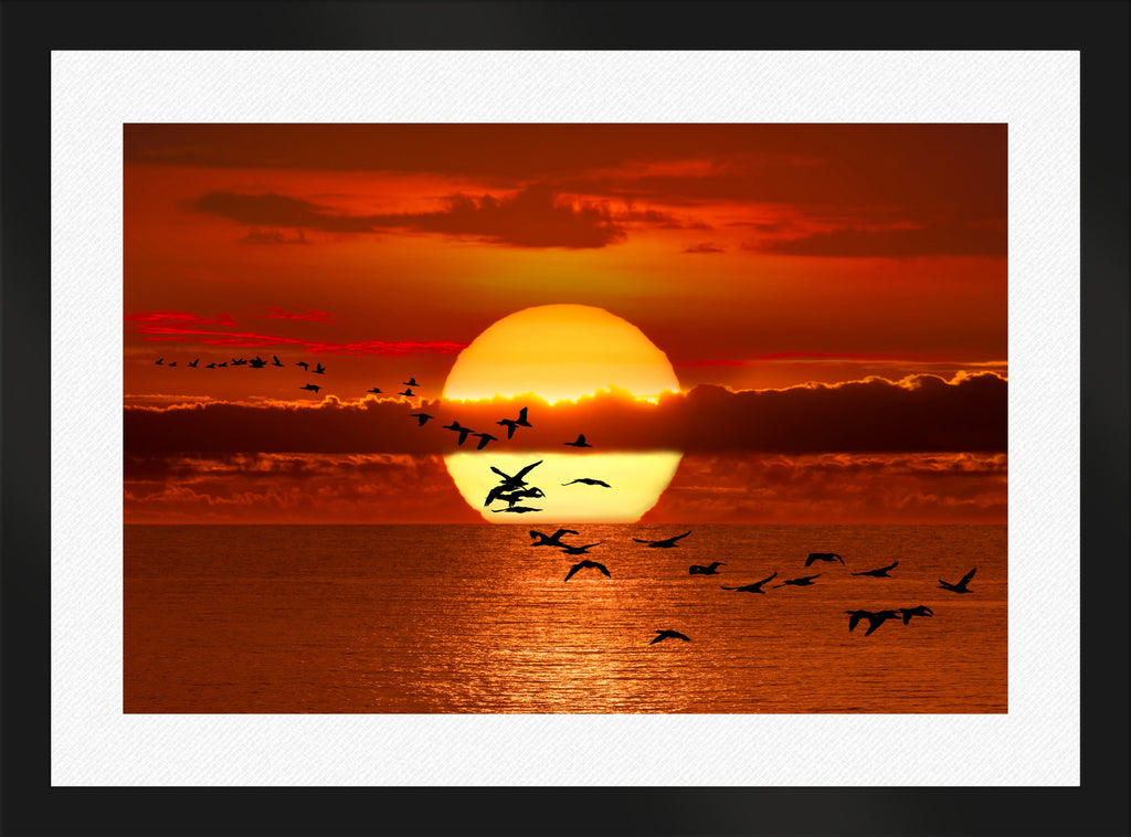 Twilight Flight
