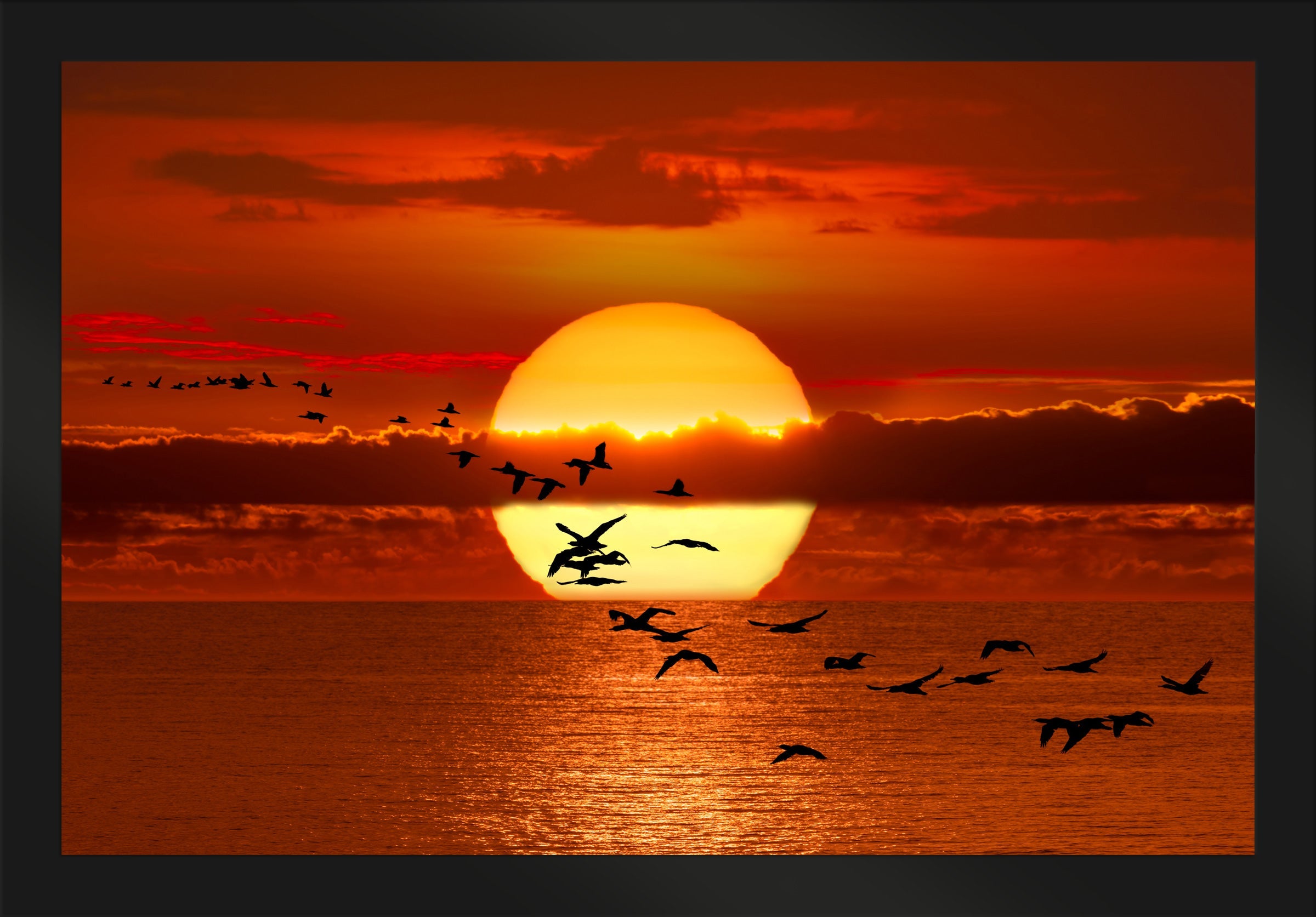 Twilight Flight