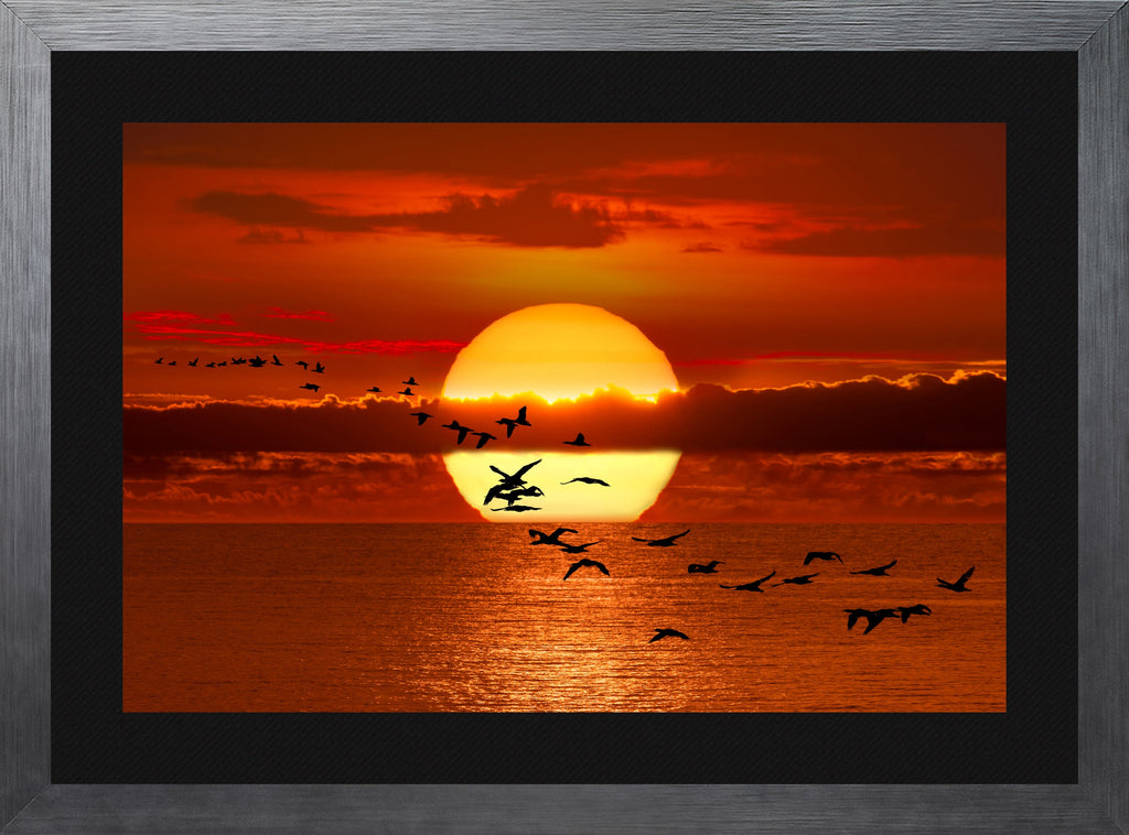 Twilight Flight