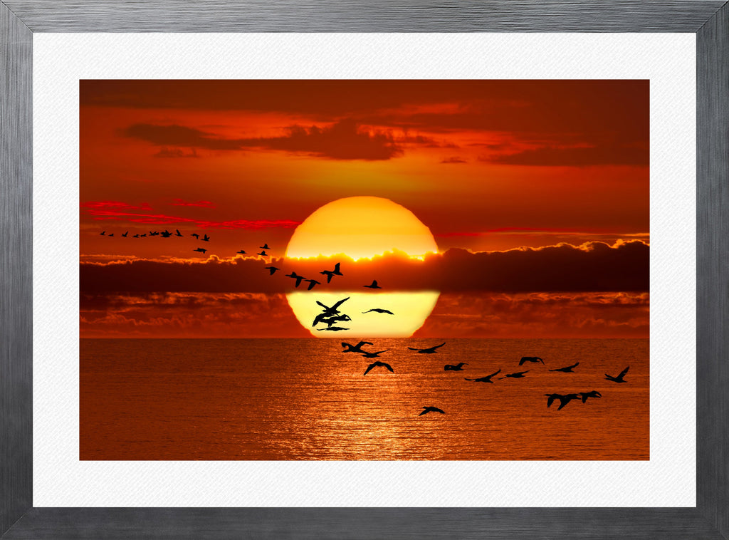 Twilight Flight