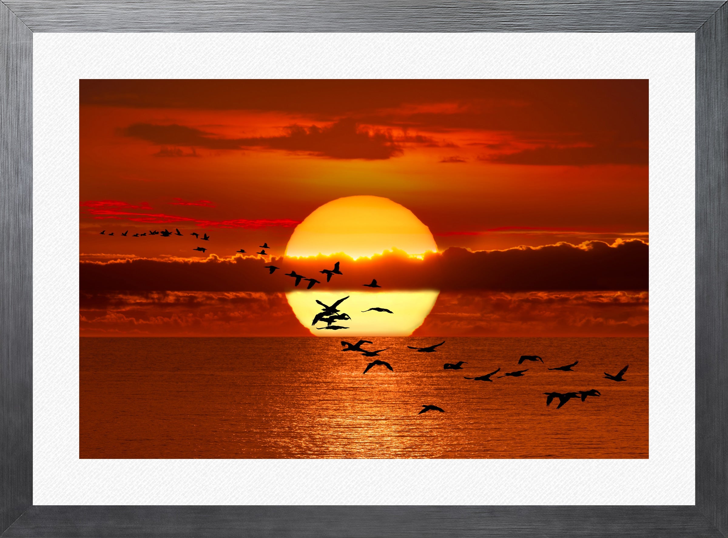 Twilight Flight