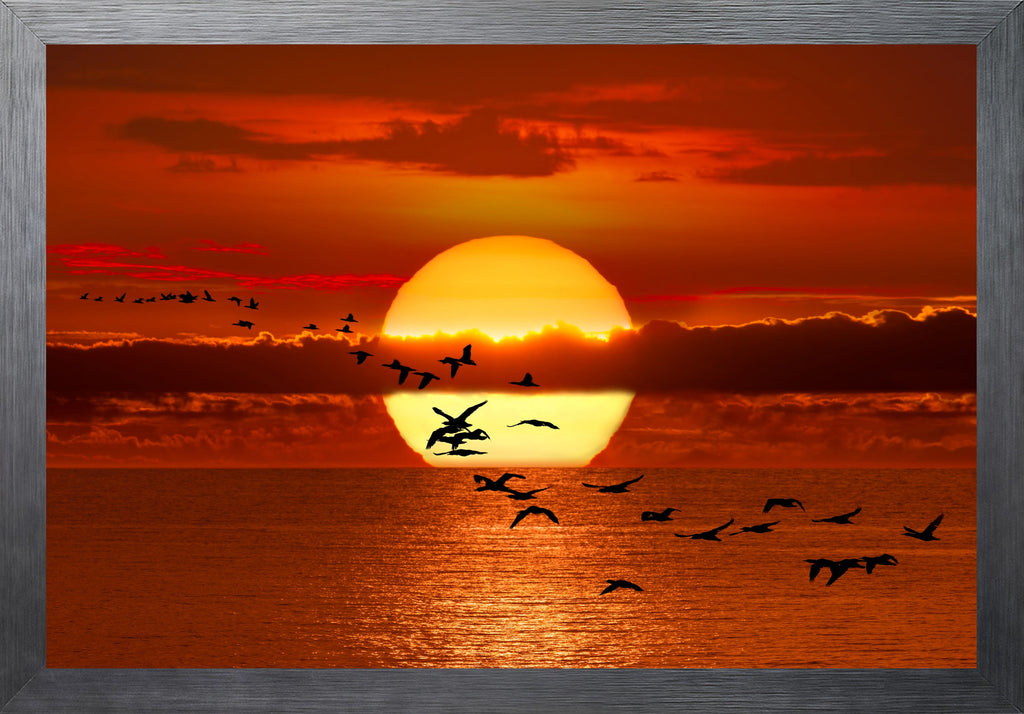 Twilight Flight