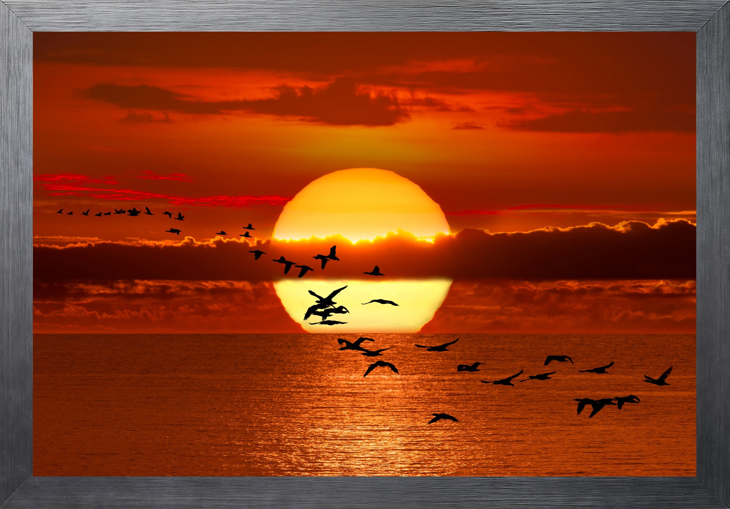 Twilight Flight